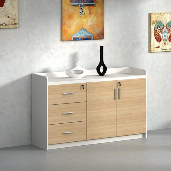 Tủ Tài Liệu Thấp Đẹp-THST10